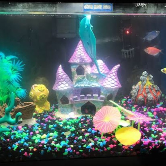 Aqueous Aquarium Kit, and etc - Picture 9 of 9